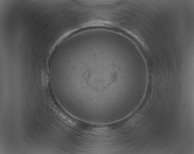 X0000084051363200702232340