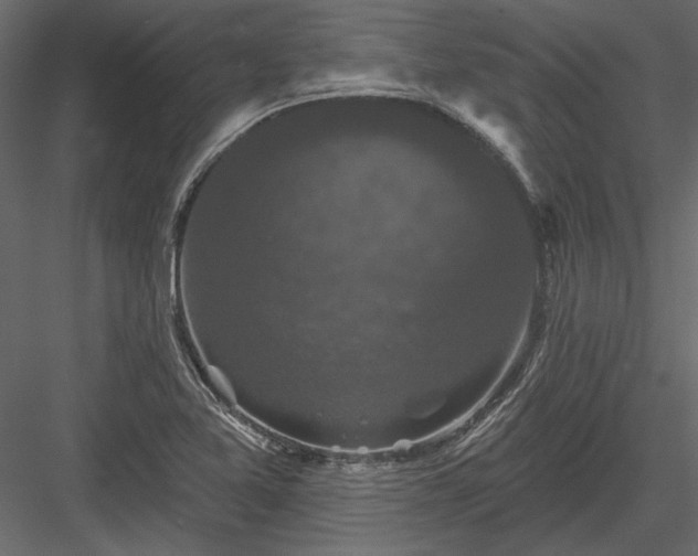 X0000084051365200702232340