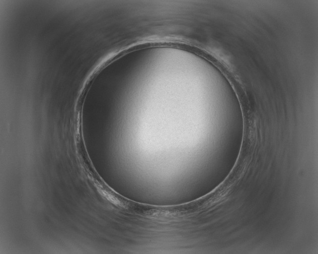 X0000084051366200702232340