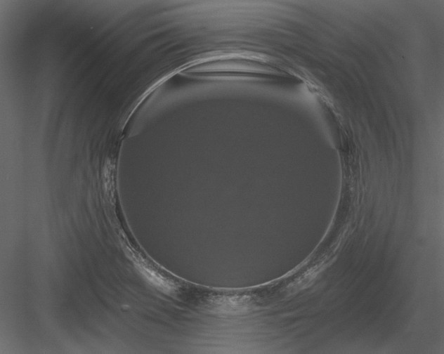 X0000084051369200702232340