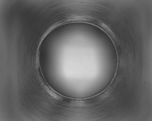 X0000084051370200702232340