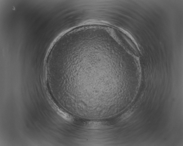 X0000084051371200702232340