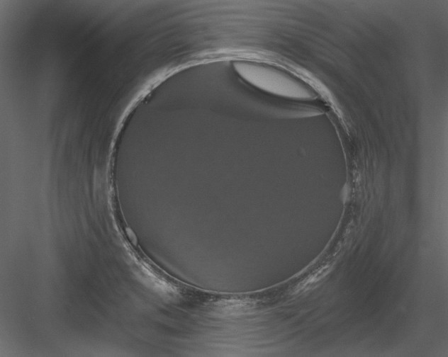 X0000084051373200702232340