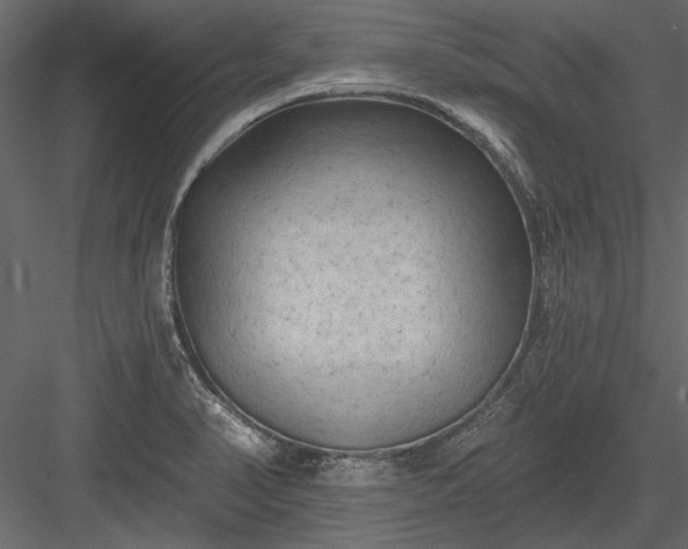 X0000084051374200702232340