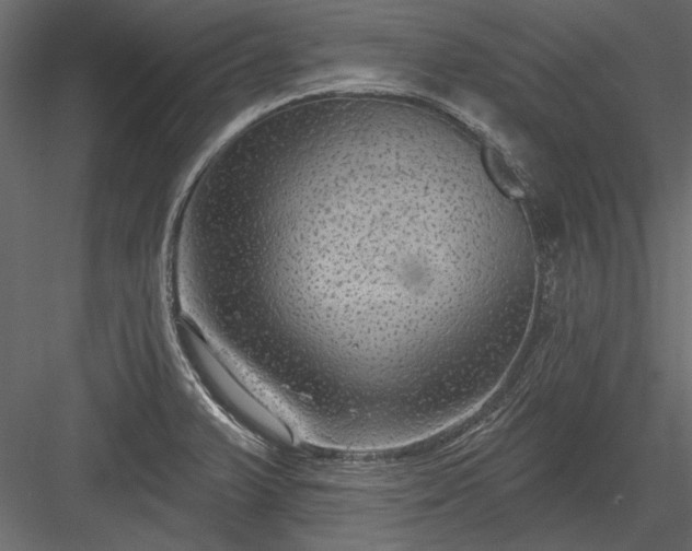 X0000084051375200702232340