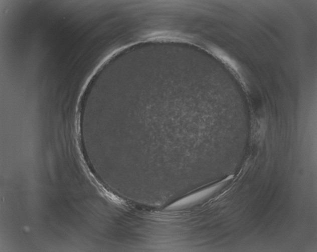 X0000084051376200702232340