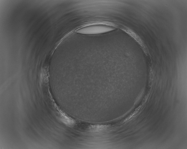 X0000084051377200702232340