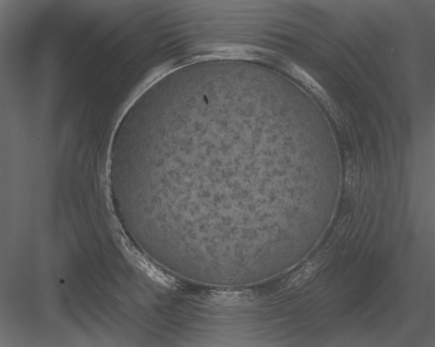 X0000084051378200702232340