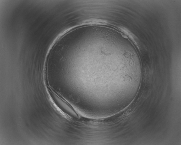 X0000084051379200702232340