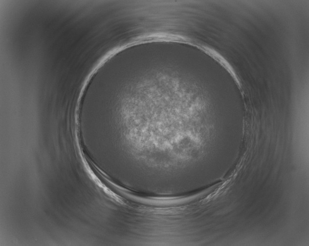 X0000084051381200702232340