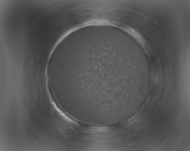 X0000084051382200702232340