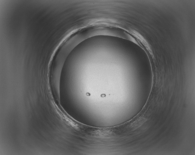 X0000084051384200702232340