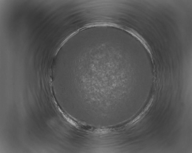 X0000084051385200702232340