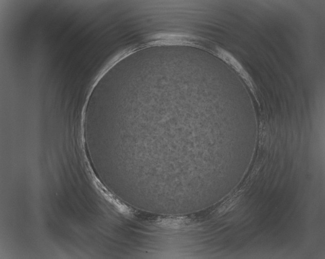 X0000084051386200702232340