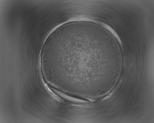 X0000084051388200702232340