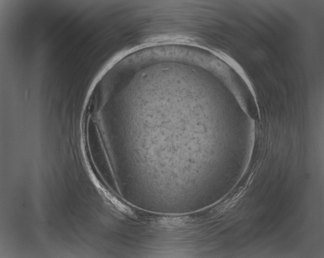 X0000084051389200702232340