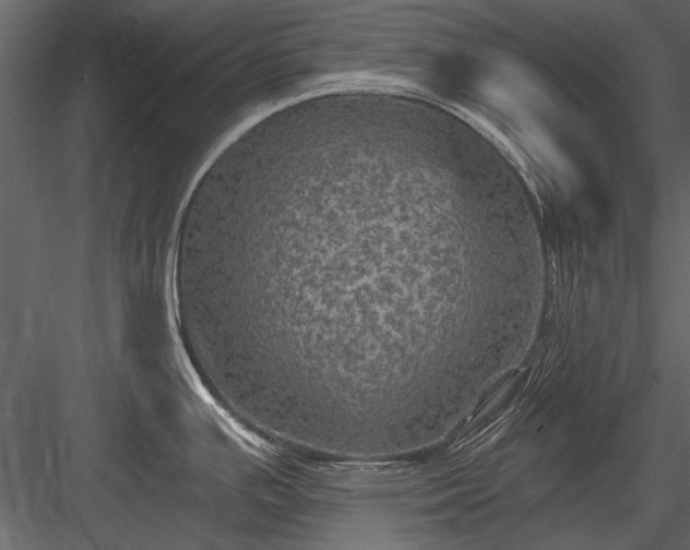 X0000084051391200702232340