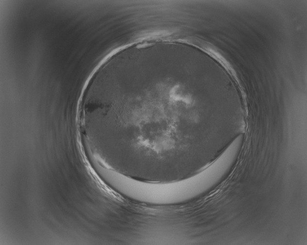 X0000084051392200702232340