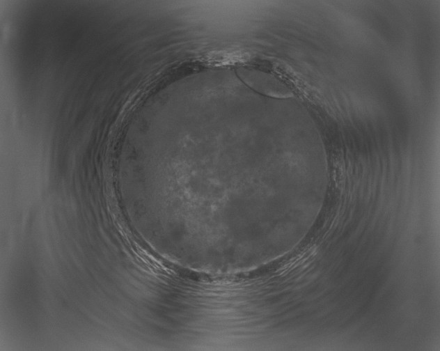 X0000084051393200702232339