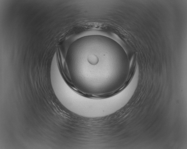 X0000084051394200702232339