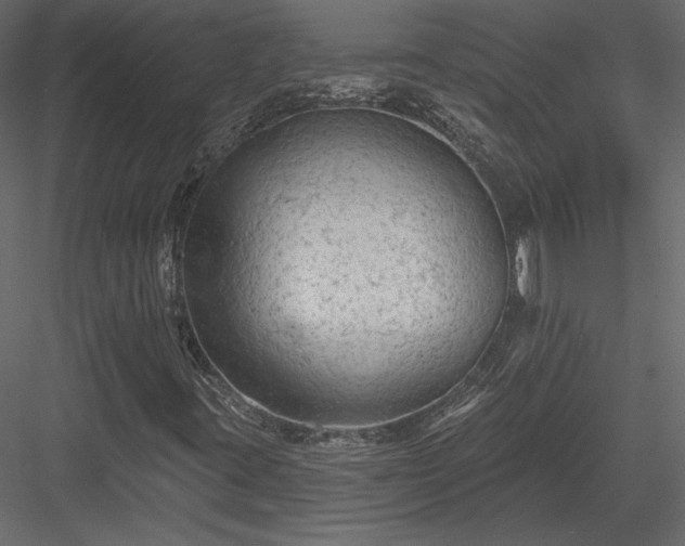 X0000084051395200702232339