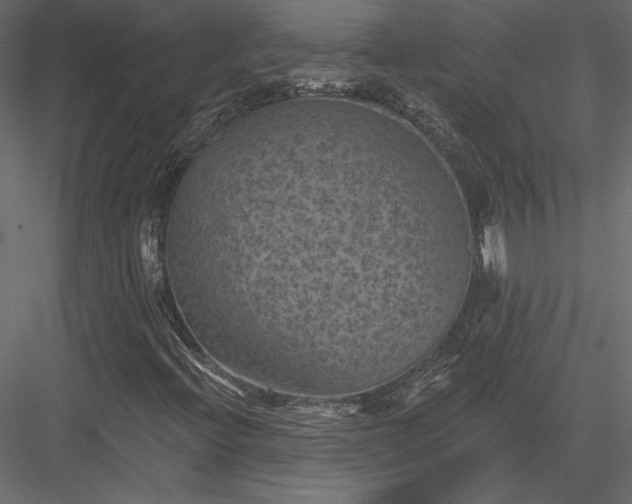 X0000084051396200702232339