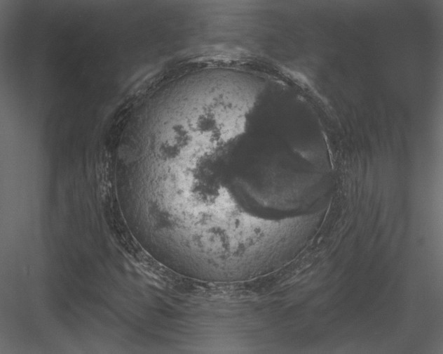 X0000084051399200702232339