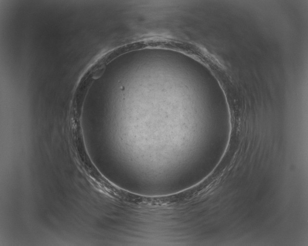 X0000084051400200702232339