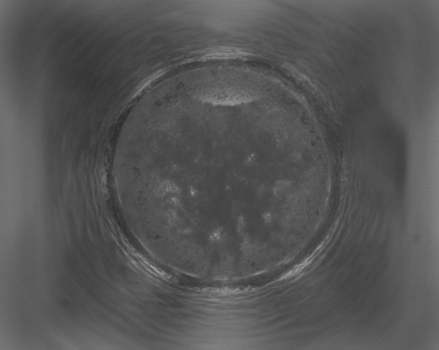 X0000084051401200702232339