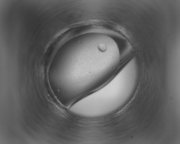 X0000084051402200702232339