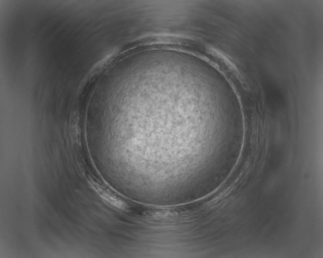 X0000084051403200702232339