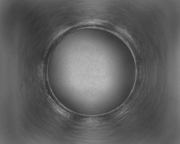 X0000084051404200702232339