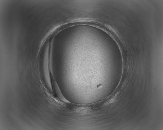 X0000084051406200702232339