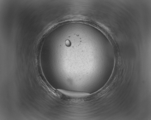 X0000084051407200702232339