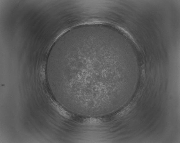 X0000084051409200702232339