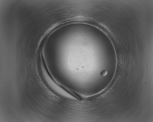 X0000084051410200702232339