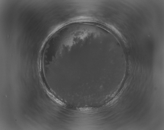 X0000084051413200702232339