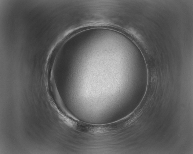 X0000084051414200702232339