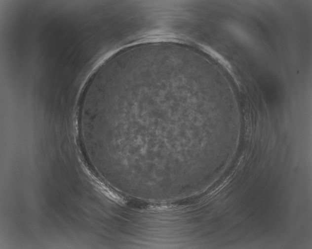 X0000084051415200702232339