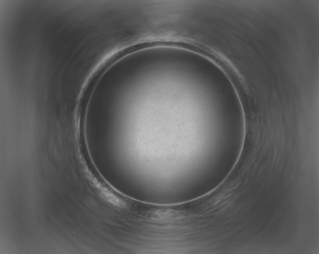 X0000084051416200702232339