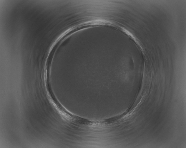 X0000084051418200702232339