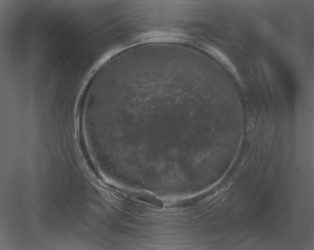 X0000084051419200702232339