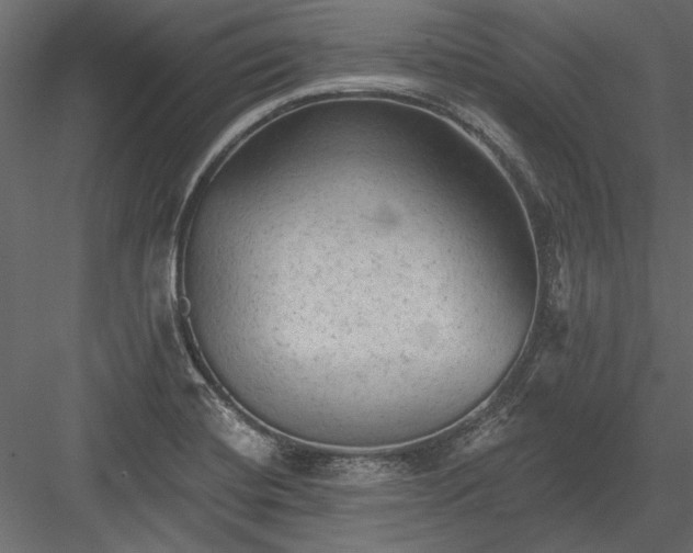 X0000084051420200702232339