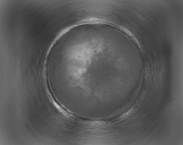 X0000084051421200702232339