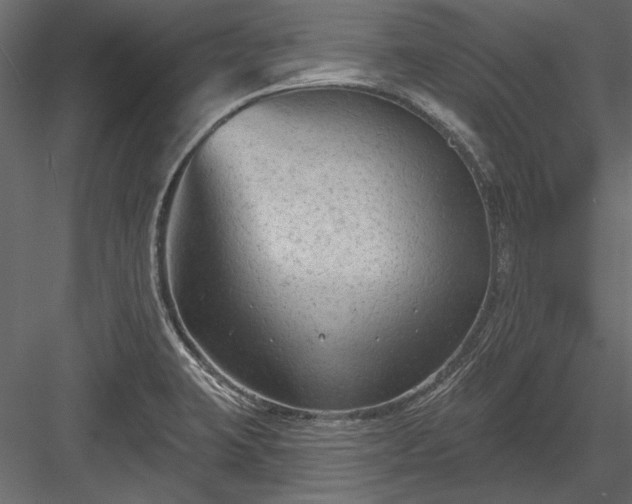 X0000084051423200702232339