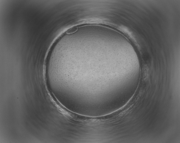 X0000084051424200702232339