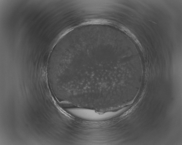 X0000084051425200702232339