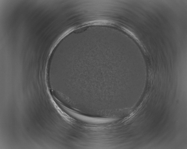 X0000084051426200702232339