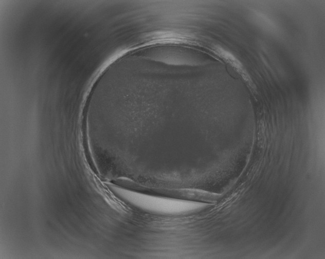 X0000084051427200702232339