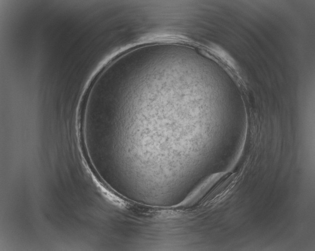 X0000084051430200702232339